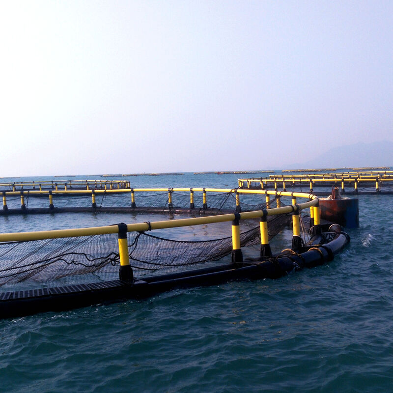 Large‑Volume Deep‑Water HDPE Fish Cage, Ample Space For Fish & Shrimp Movement