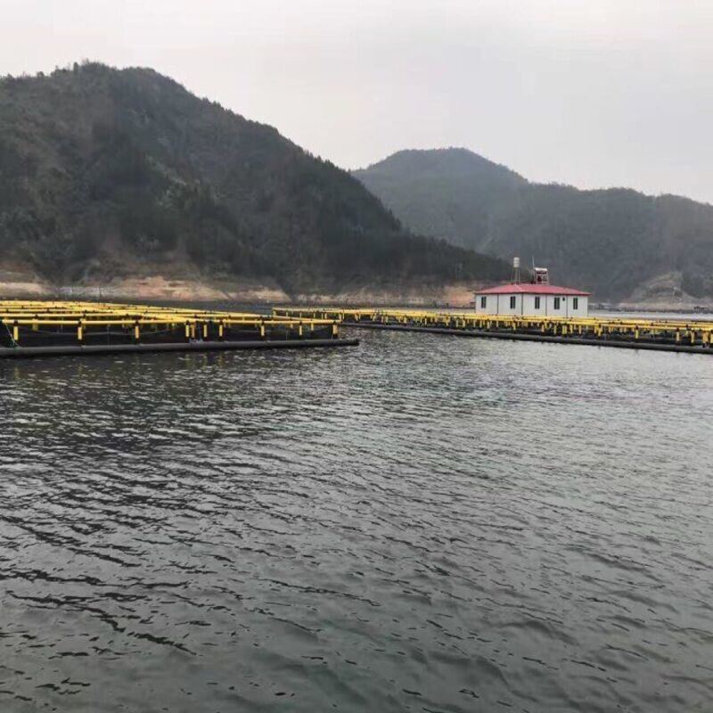 Export‑Grade Modular HDPE Fish Cage, Efficient Container Loading
