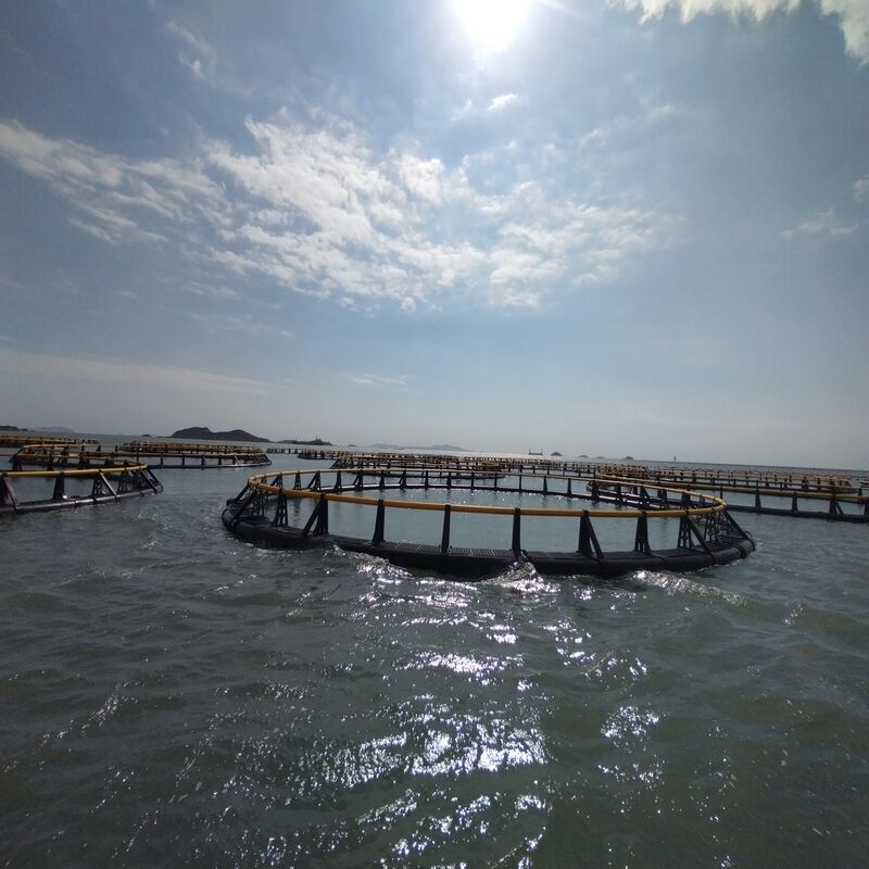 Eco‑Friendly Recyclable HDPE Aquaculture Cage, No Heavy Metal Leaching