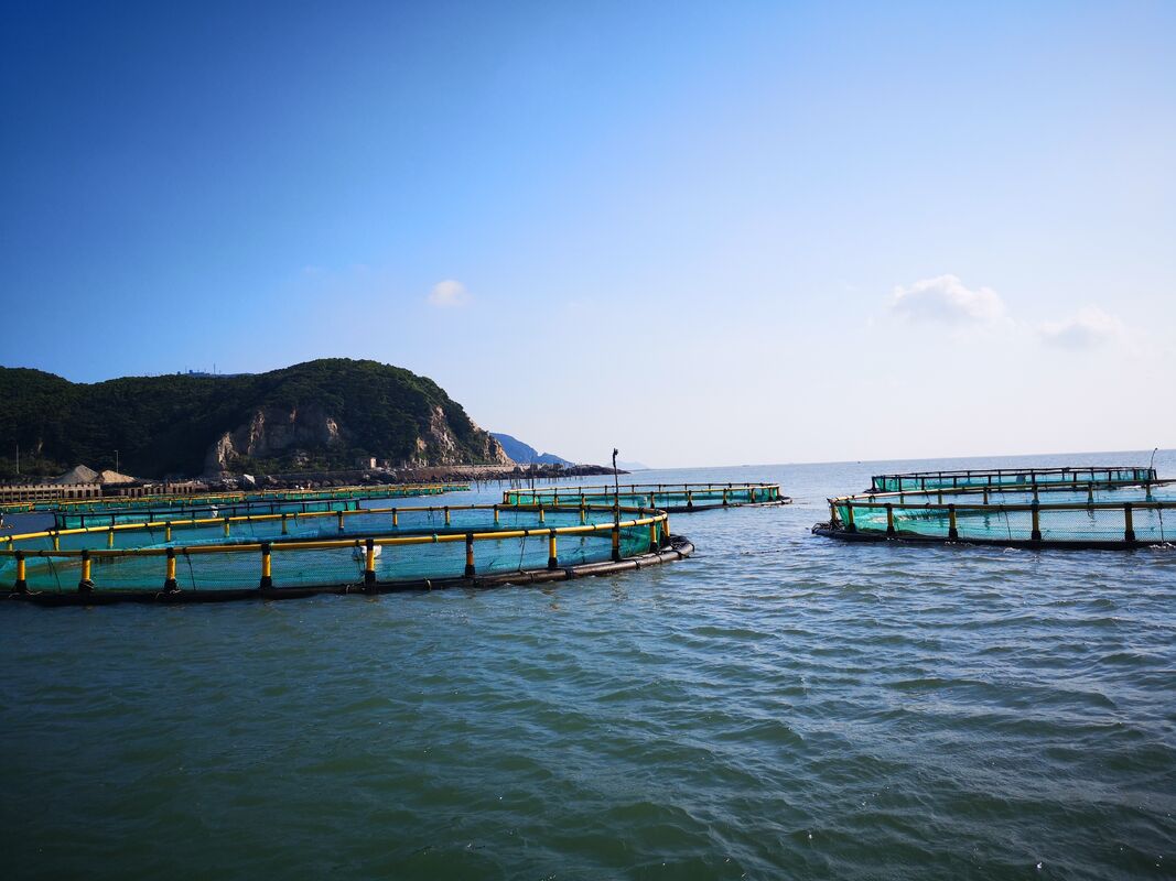 @FishFarmers: Round or Square Net Cages? Contact Us to Find Your Perfect Fit!