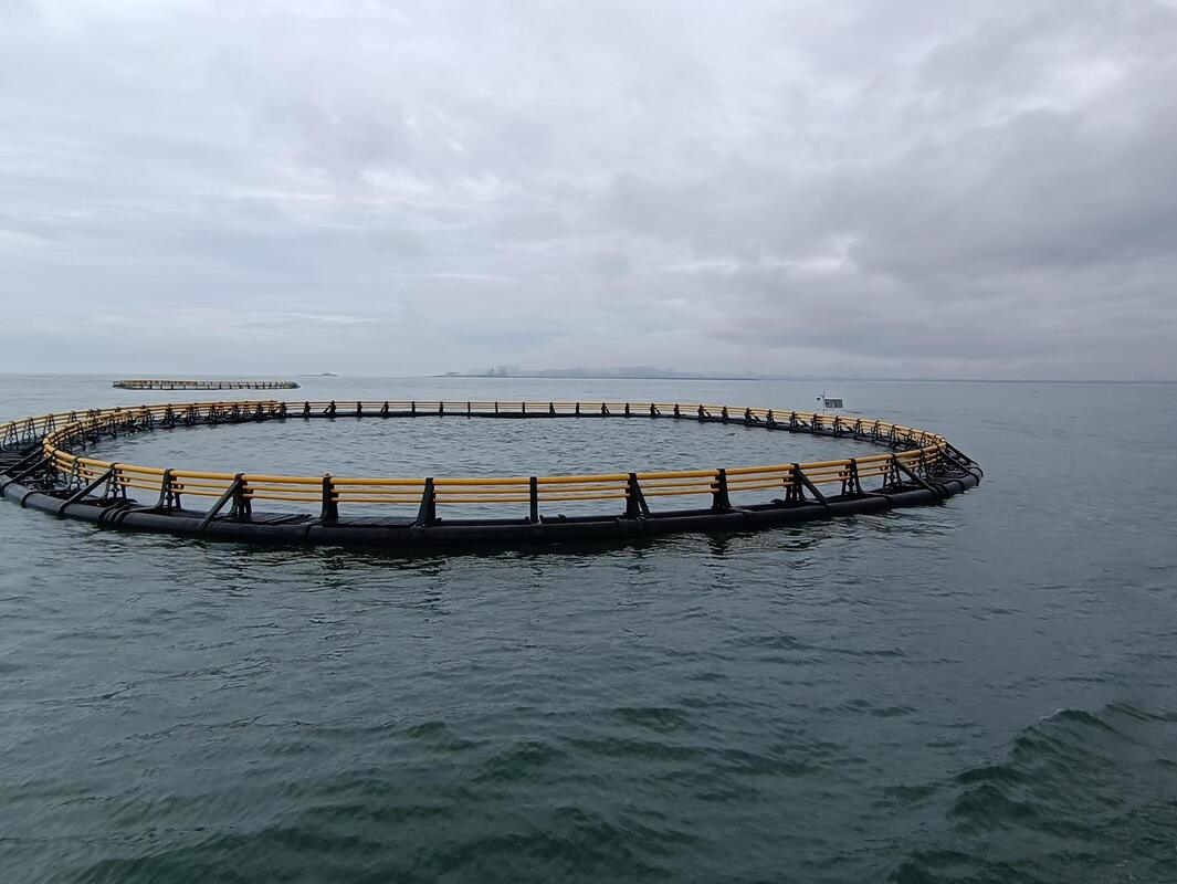 Affordable HDPE Fish Cage, Production Up to 20 Tons, Starting at USD 2000