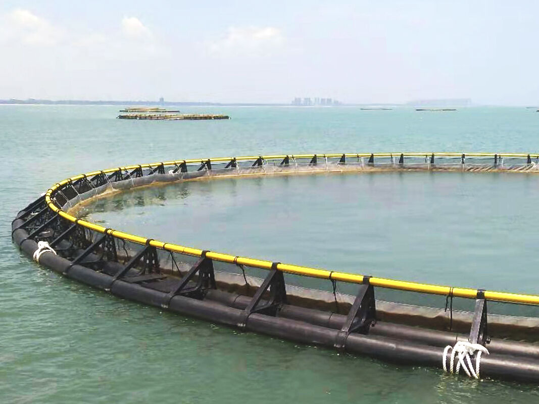 Affordable HDPE Fish Cage, Production Up to 20 Tons, Starting at USD 2000