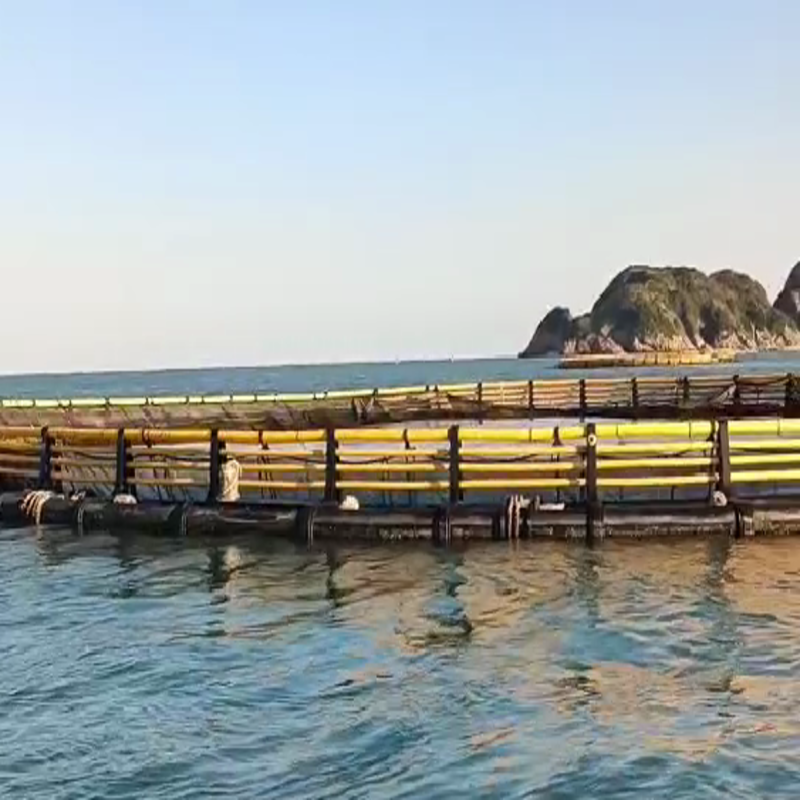 HDPE Deep Sea Anti-Typhoon Circular Fish Cage, High Wave Resistance