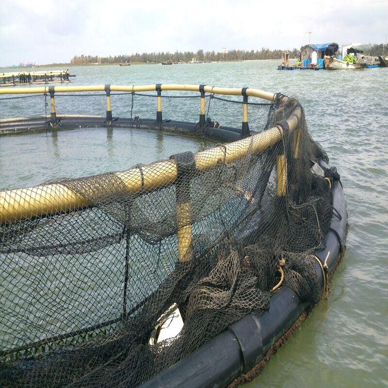 HDPE Deep Sea Anti-Typhoon Circular Fish Cage, High Wave Resistance