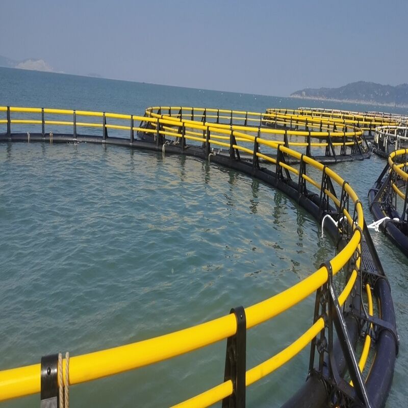  Large Capacity Deep Sea Ranch Cage, High-Density Aquaculture