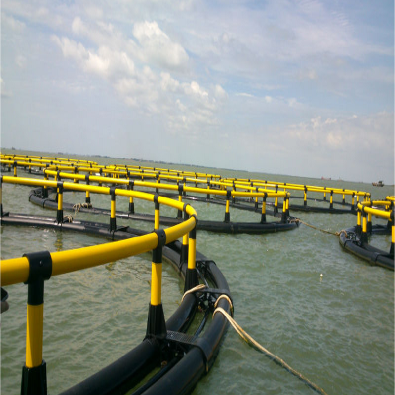 Reinforced Coastal Wave-Resistant Cage, Level 12 Wind Resistance