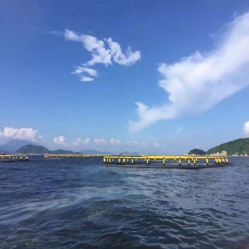 Integrated HDPE Floating Fish Cage, Weld-Free Integral Structure