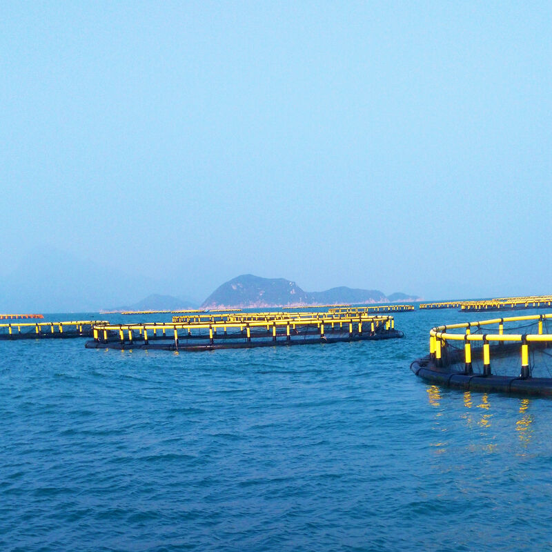 Integrated HDPE Floating Fish Cage, Weld-Free Integral Structure