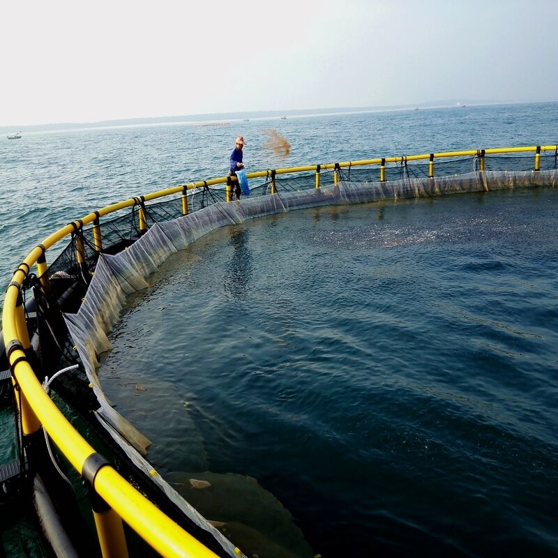 Custom Size Deep Sea Aquaculture Cage, Complete Anchoring System