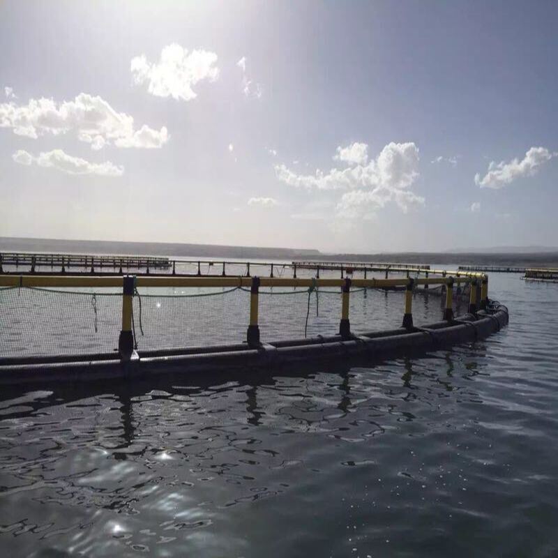 HDPE Circular Deep Water Fish Cage, Anti-Typhoon Floating Aquaculture Cage for Offshore Farming