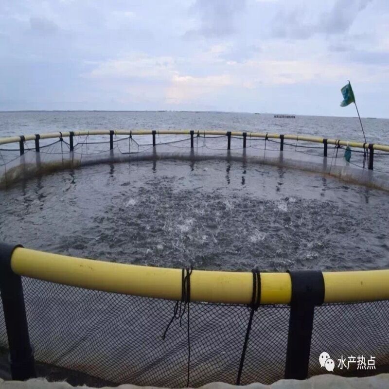 HDPE Floating Cage for Freshwater Lake, Tilapia & Catfish Aquaculture Net Cage