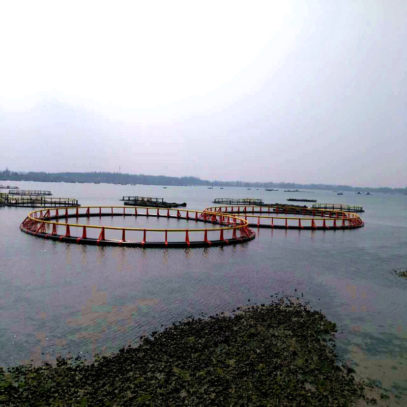 Custom Size HDPE Aquaculture Fish Cage, Round & Square Customizable Net Cage
