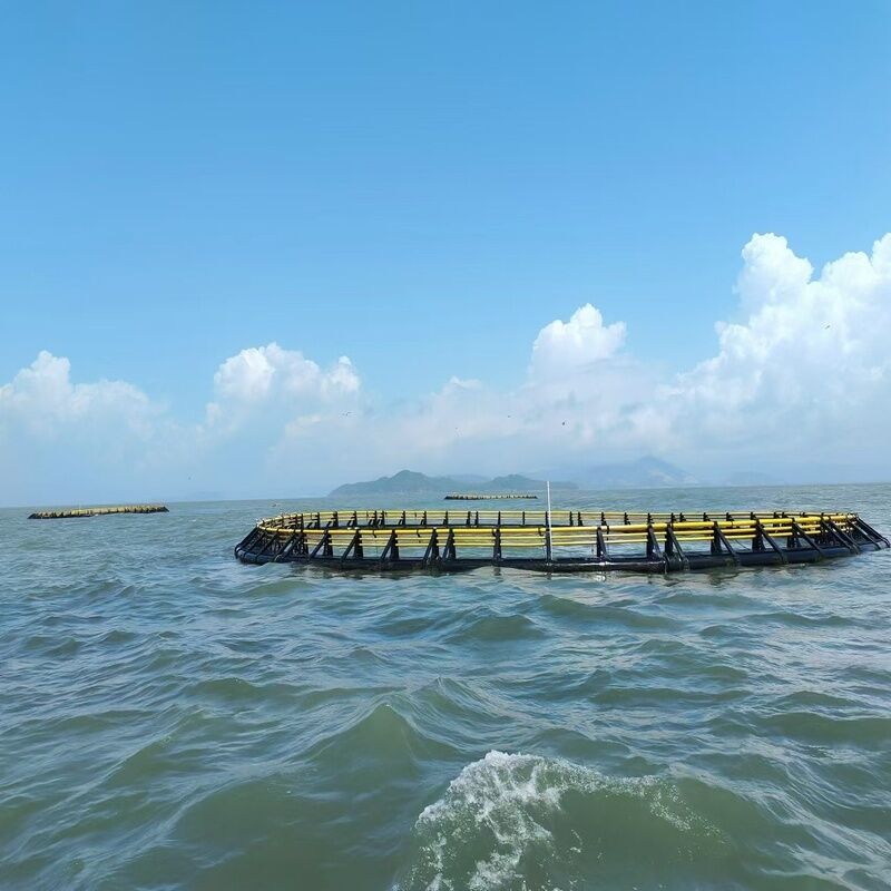 HDPE Deep-Water Anti-Storm Fish Cage, Complete Aquaculture Facility for Sea Ranch