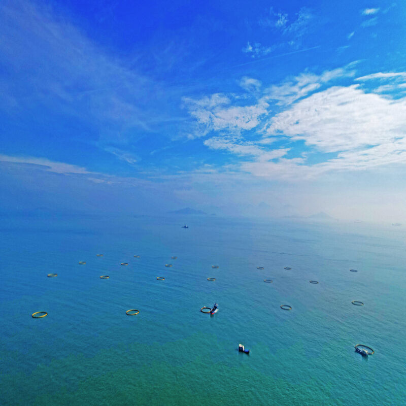 Heavy‑Duty Hurricane‑Resistant Offshore Fish Cage HDPE Aquaculture Cage For Open Sea