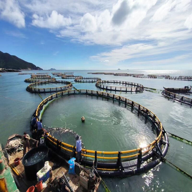 HDPE Circular Fish Cage, Selectable By Farming Capacity, High‑Density Marine Fish Farming Equipment