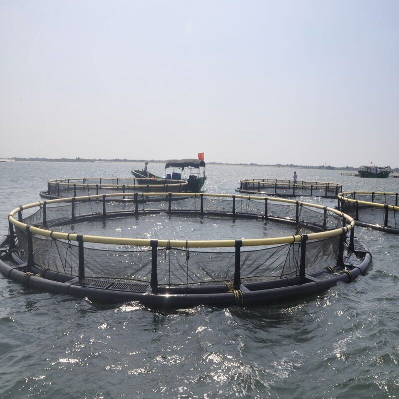 Economical HDPE Fish Cage For Lagoon & Inner‑Bay, Suitable For Low‑Wave Water Area