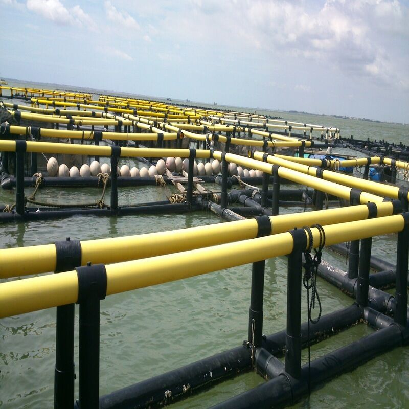 Small Simple HDPE Fish Cage For Pilot Farming & Individual Farmer, Freshwater & Seawater Use