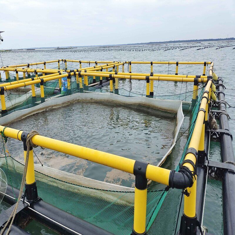 Small Simple HDPE Fish Cage For Pilot Farming & Individual Farmer, Freshwater & Seawater Use