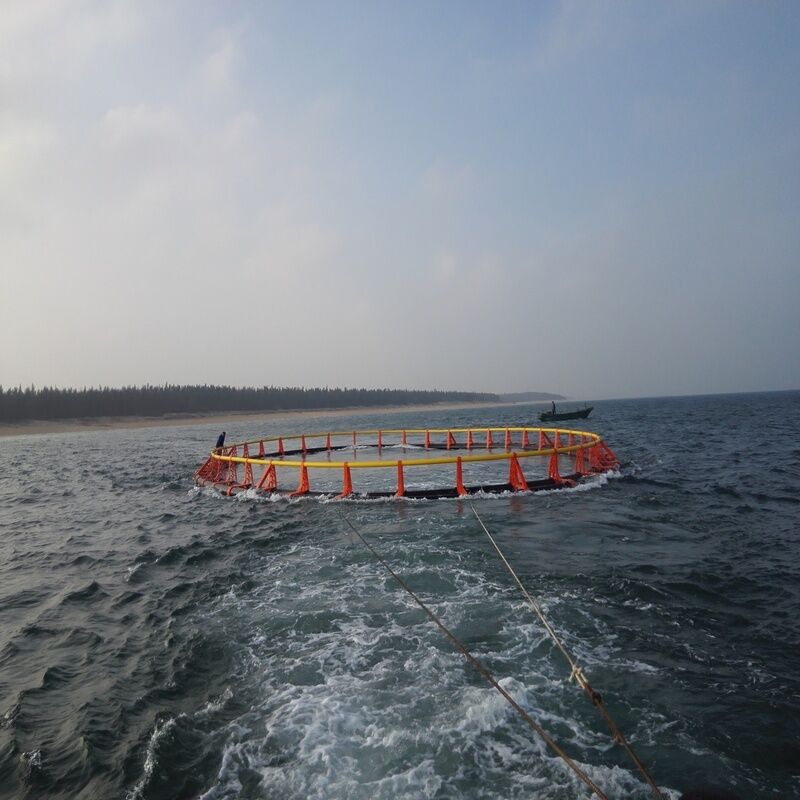 Large‑Scale Offshore Anti‑Storm PE Fish Farming Cage System