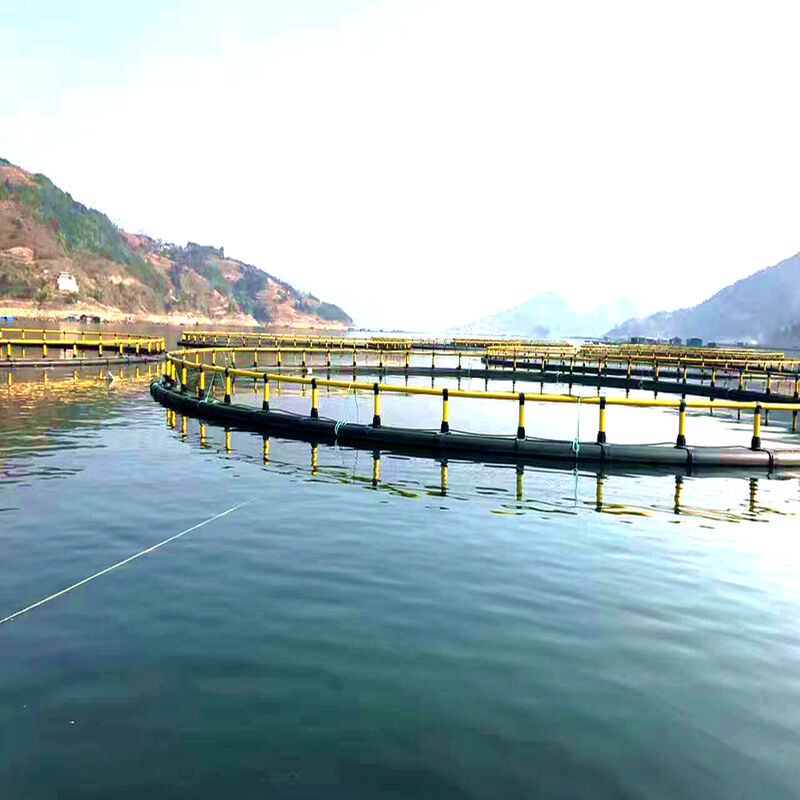 High‑Strength Deep Water Aquaculture Fish Cage Anti‑UV PE Floating Cage