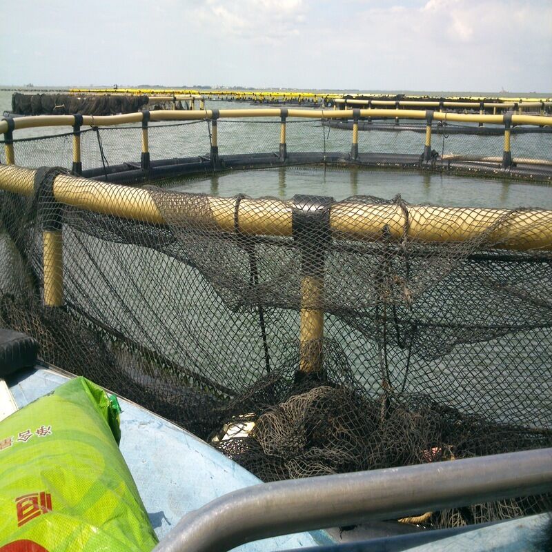 HDPE Anti‑Corrosion Circular Fish Cage With Cover Net For Sea Farming