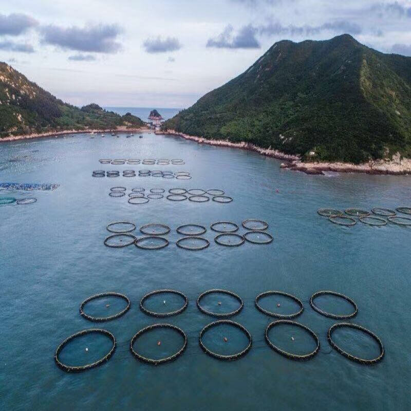 HDPE Anti‑Corrosion Circular Fish Cage With Cover Net For Sea Farming