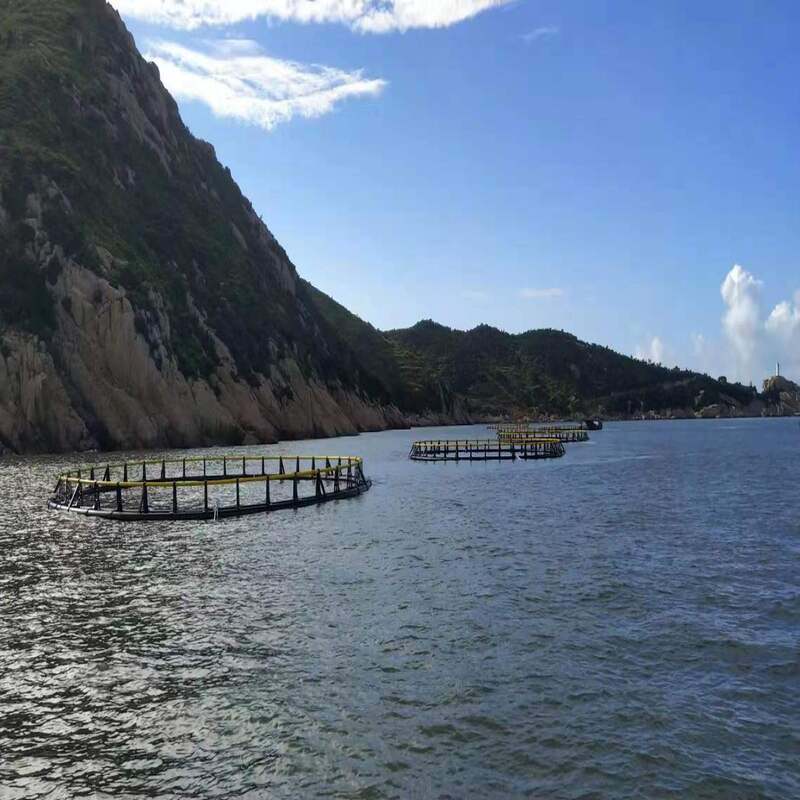 Anti-fouling Algae Resistant Fish Cage with Special Netting