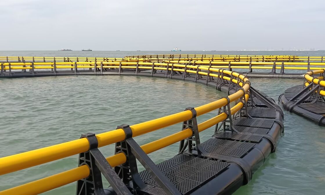•Defying El Niño: Dual Main Floating Pipe Cage Offers Ultimate Storm Resistance and Rainstorm Protection