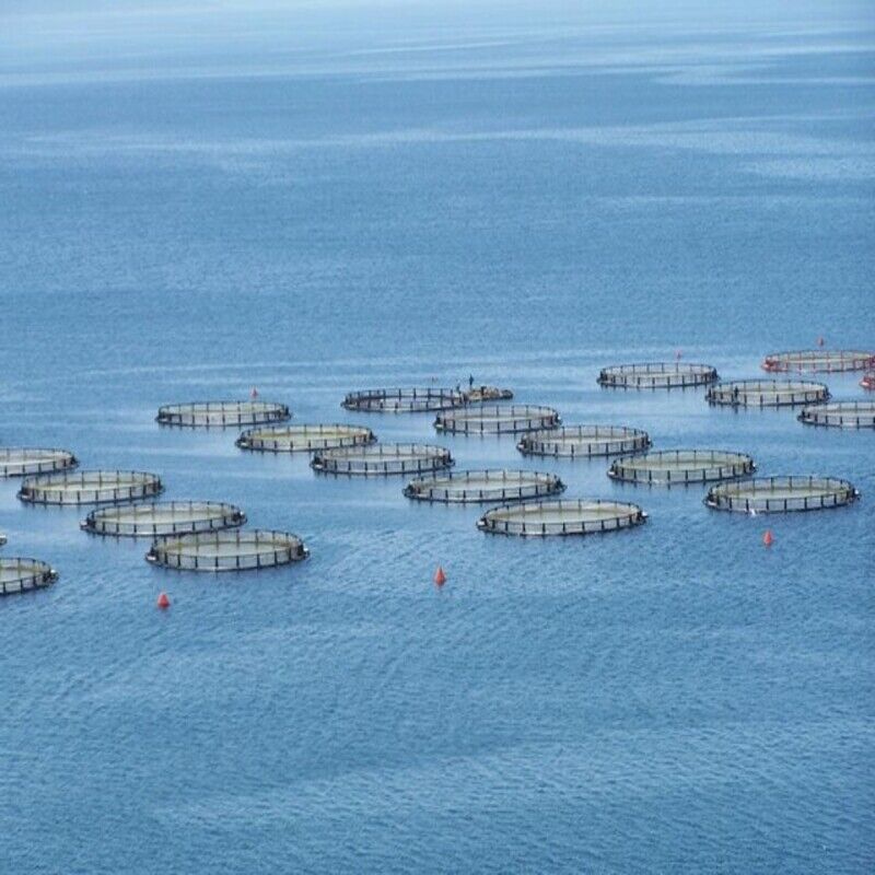 Custom Diameter HDPE Aquaculture Cage for Freshwater Pond