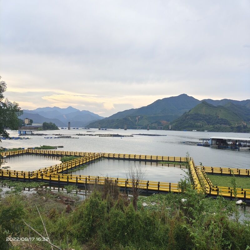 4×4 Square Floating Fish Cage HDPE Aquaculture Net Cage For Sea Fish Breeding