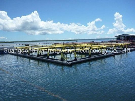 HDPE Pipe Floating Fish Cage 4X4m Square For Lake Or River Cage Fish Farming