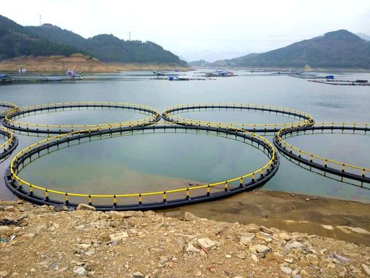 Nanfengwang Fish Pen for Culturing Fish and Recreation in Lack Diameter 10m 60m 1 Year After-sales Service