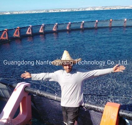 Customization HDPE Fish Farming Net Cage with Knotless Net Bag within Farming Machinery