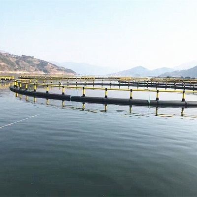 Carp or Tilapia Aquaculture Fish Cages Supported by Floating Pipe 315mm and with Support