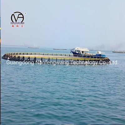 Deep Sea Aquaculture HDPE Super Strong Cage with Design and 450mm Floating Pipe