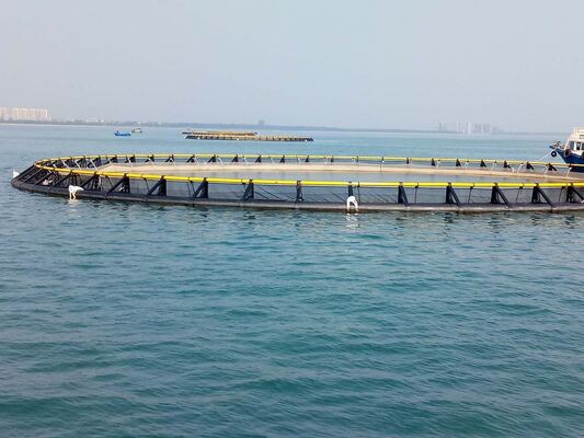 High-Strength & Anti-Corrosion, Circular Fish Cage With HDPE 315mm Bracket For Stable Deep-Water Aquaculture In Lakes, Delivery In Two Weeks After Deposit Received