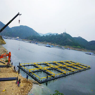 Oversized Square Floating Fish Cage, Industrial Commercial Aquaculture Net Cage, High Strength HDPE Cage for Tilapia Breeding with Anti-Bird and Anti-Escape Design