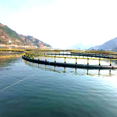 Large Round Floating Fish Cage Weather Resistant Commercial Aquaculture Net Cage for Tilapia and Shrimp High Density Farming