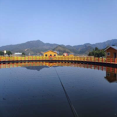 Anti Slip Corrosion Resistant HDPE Floating Activity Platform Customizable for Water Entertainment
