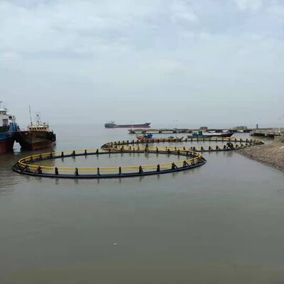 High Wear Resistant Round Fish Cage Anti Fouling Fish Farming Net Cage