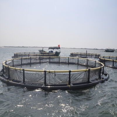 Integrated Round HDPE Cage High Toughness Offshore Fish Farming