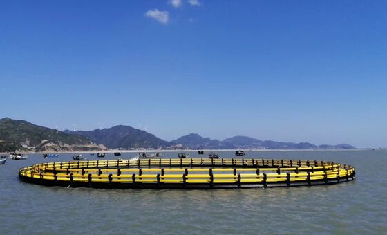 HDPE fish cage with a total circumference of 120 meters, equipped with sturdy 450 mm main floating pipes，excellent anti-aging and UV-resistant，,specially designed for offshore aquaculture