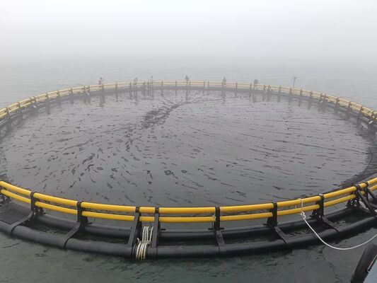 Cage aquaculture circulaire Storm Master de 15 mètres de diamètre en PE100 avec support monobloc moulé par injection