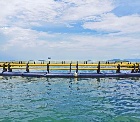 Factory Visit Invitation | Humidity & Wave Resistant HDPE Fish Cages for Ghana Fish Farming