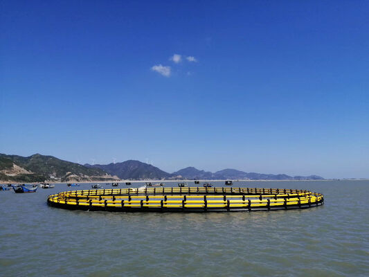 Small & Medium-Sized HDPE Fish Cages | Flood & Wave Resistant for Nigeria Fish Farming