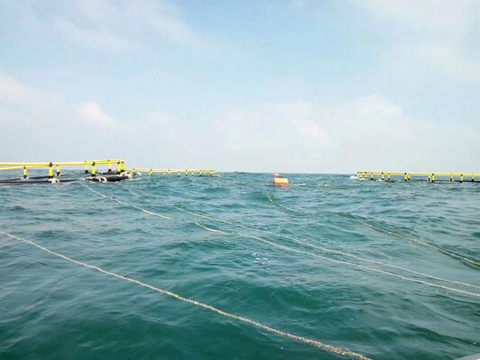 Durable HDPE fish cages guard your lake-side livelihood .100% Virgin HDPE, Longer Service Life In Water.
