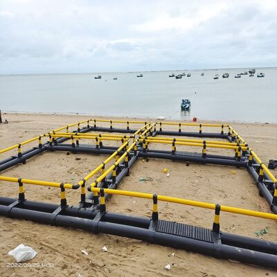 Standard Square HDPE Floating Fish Cage for High-density Freshwater Farming in Reservoirs & Lakes