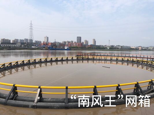 Do you want HDPE Fish Cage to lift your annual fish output greatly?