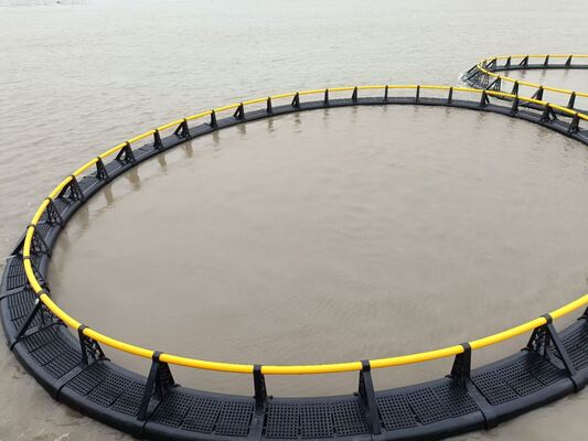 Anti-escape HDPE cage for grouper, stocking density 14–18kg/m³, fine mesh reduces fry loss for Southeast coastal farms.
