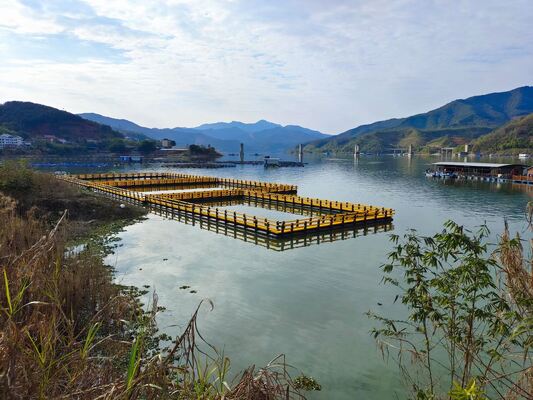 Suitable for 6–50m lakes & reservoirs, stable for milkfish 20–24kg/m³ high-density culture